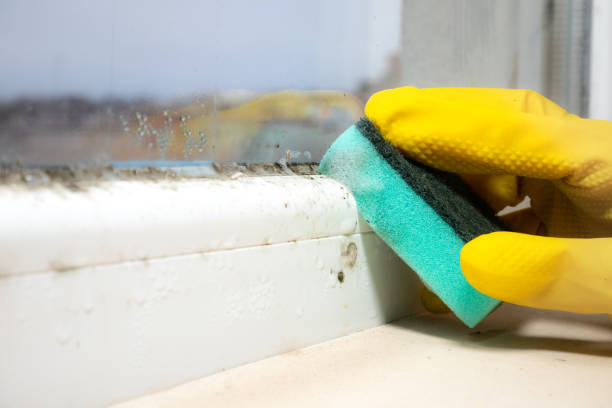 Water Damage Restoration in Lennox, SD