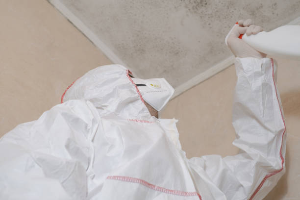 Best Local Mold Removal Service  in Lennox, SD