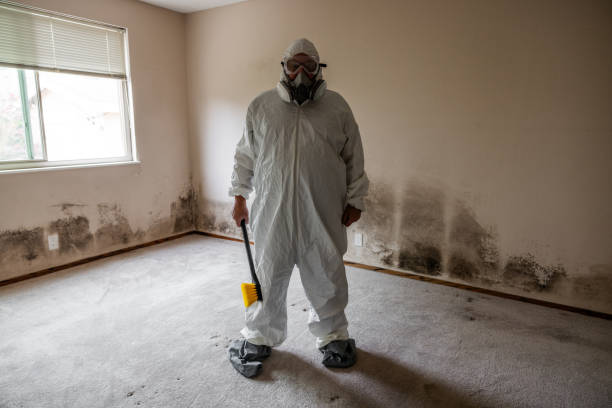 Best Mold Cleaning Services  in Lennox, SD